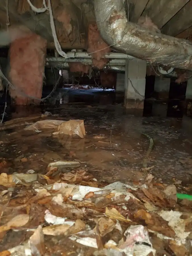Crawl space flood assessment for Leak Detection & Repair in Marvin